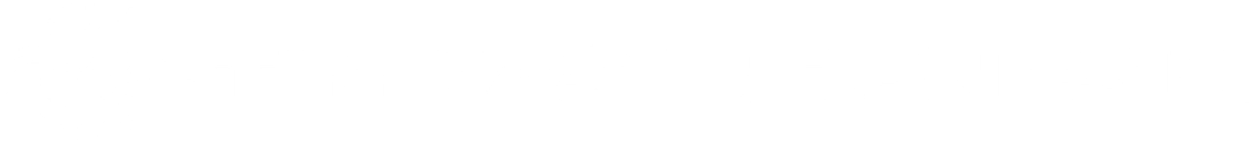TIMNAS GARUDA (PSSI)